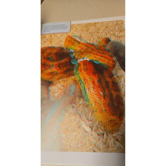 Eye-Popping 3-D Pets Phantogram Animal You Can Practically Pet Like New Hardback - Picture 5 of 6